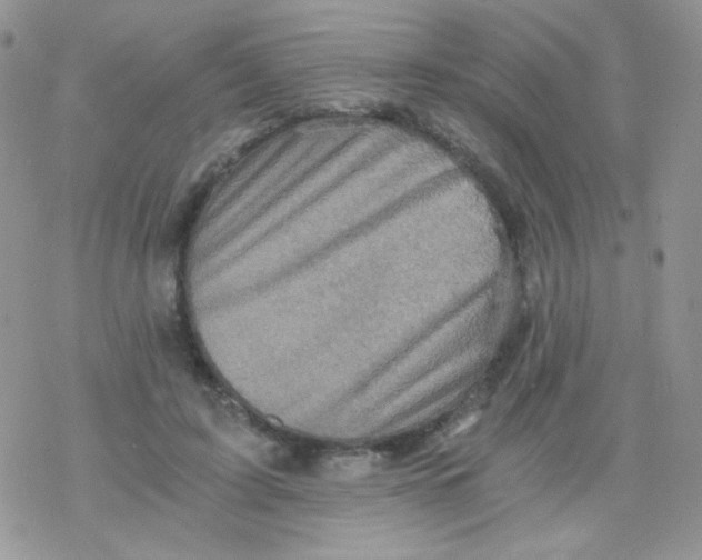 X0000078300595200611251510