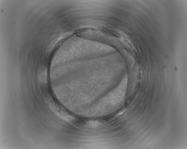 X0000078300596200611251510