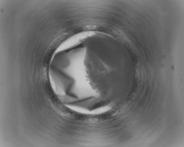 X0000078300598200611251510