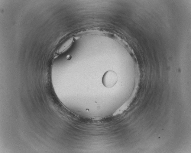 X0000078300600200611251510