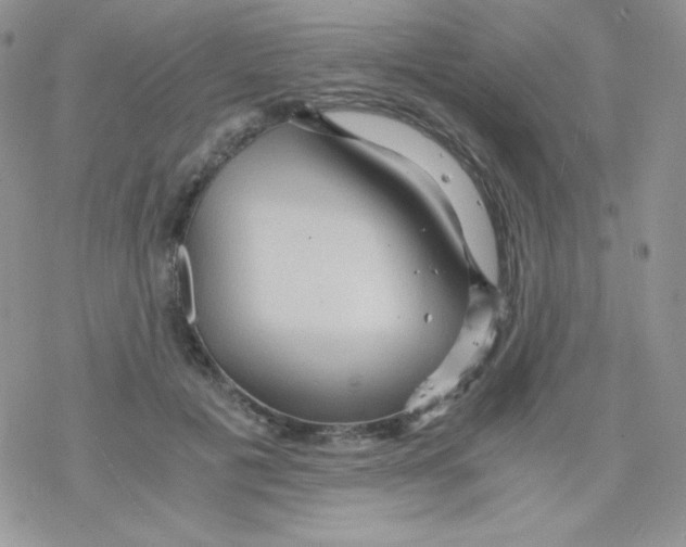 X0000078300601200611251510