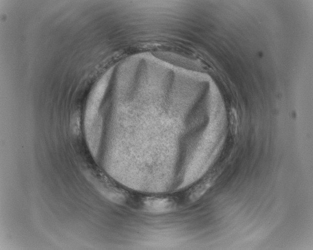 X0000078300602200611251510