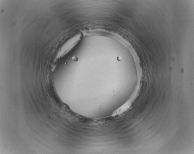 X0000078300604200611251510