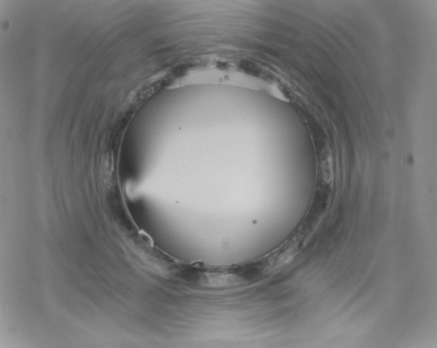 X0000078300605200611251510