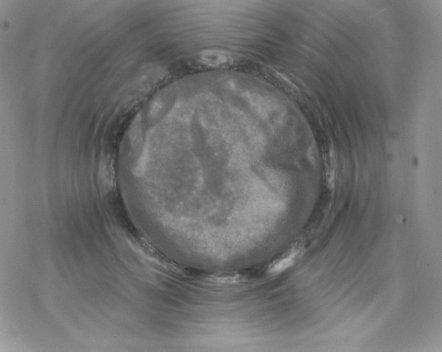 X0000078300606200611251510