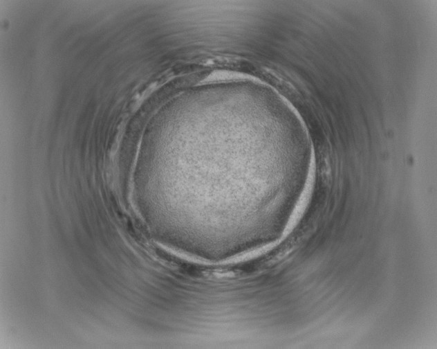 X0000078300607200611251510