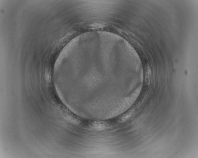 X0000078300608200611251510