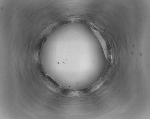 X0000078300611200611251510