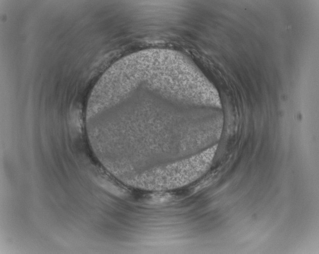 X0000078300612200611251510