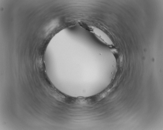 X0000078300613200611251510