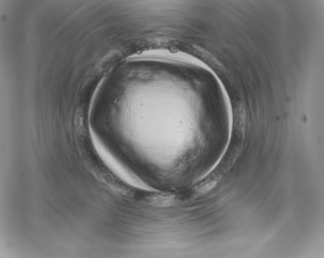 X0000078300615200611251510