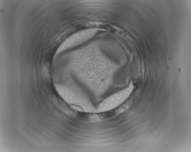 X0000078300616200611251510