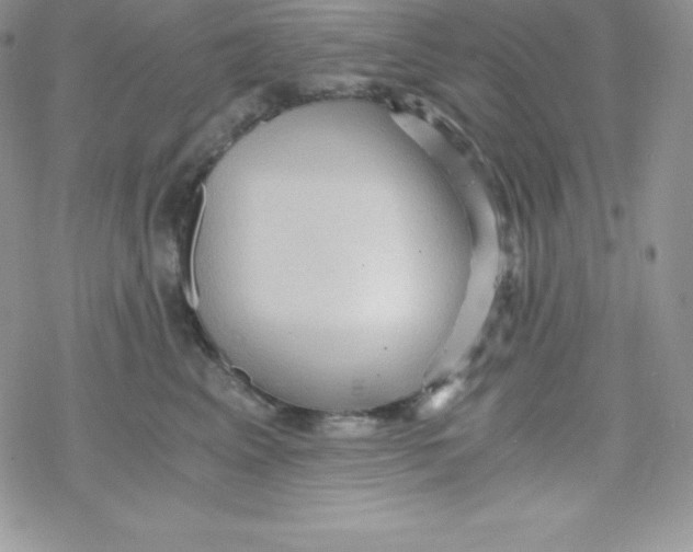 X0000078300617200611251510