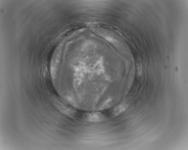 X0000078300618200611251510