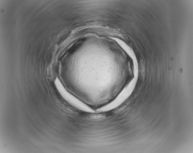 X0000078300619200611251510