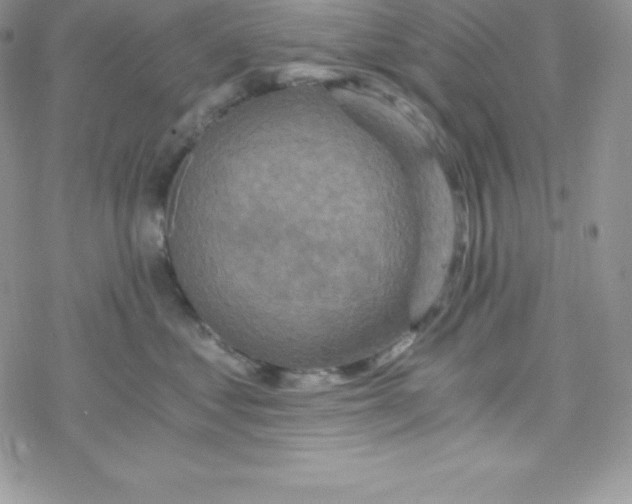 X0000078300621200611251510