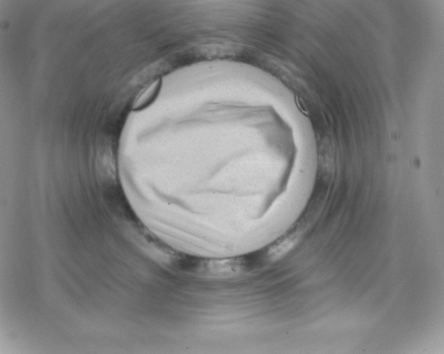 X0000078300622200611251510