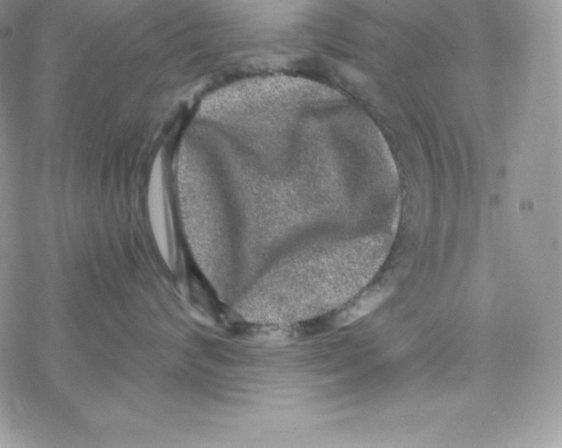 X0000078300624200611251510