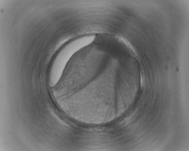 X0000078300627200611251509