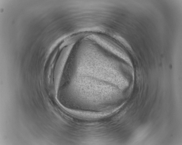 X0000078300628200611251509