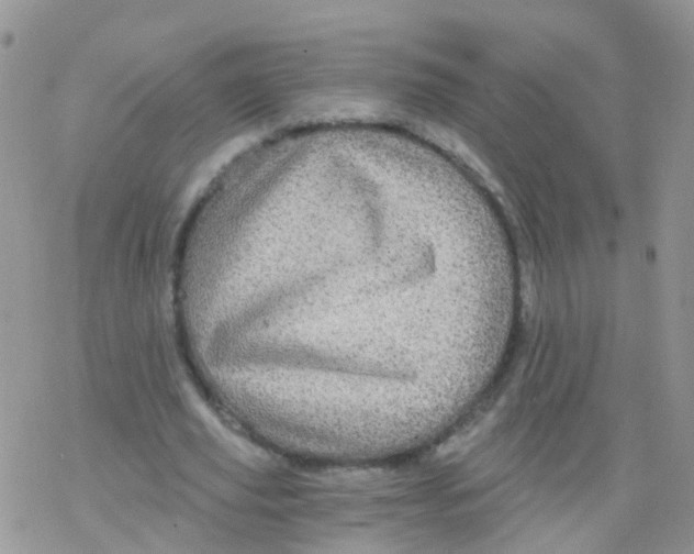 X0000078300629200611251509