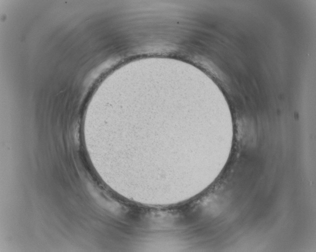 X0000078300632200611251509