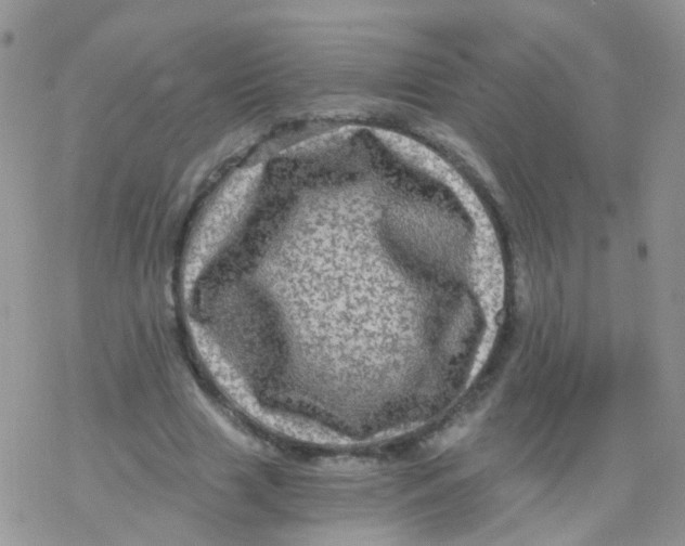 X0000078300633200611251509