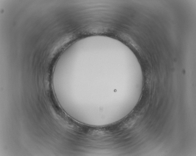 X0000078300635200611251509