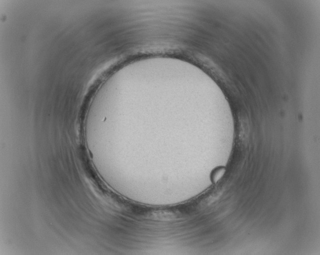 X0000078300636200611251509