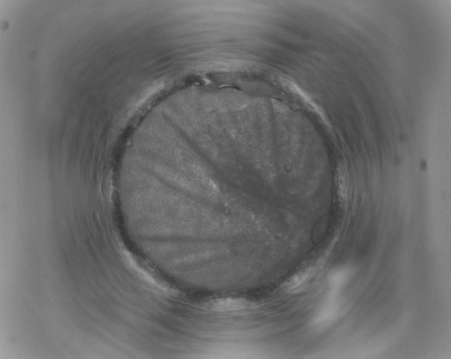 X0000078300637200611251509