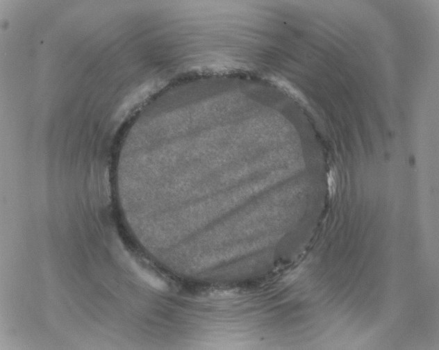 X0000078300638200611251509