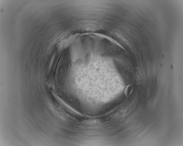 X0000078300639200611251509