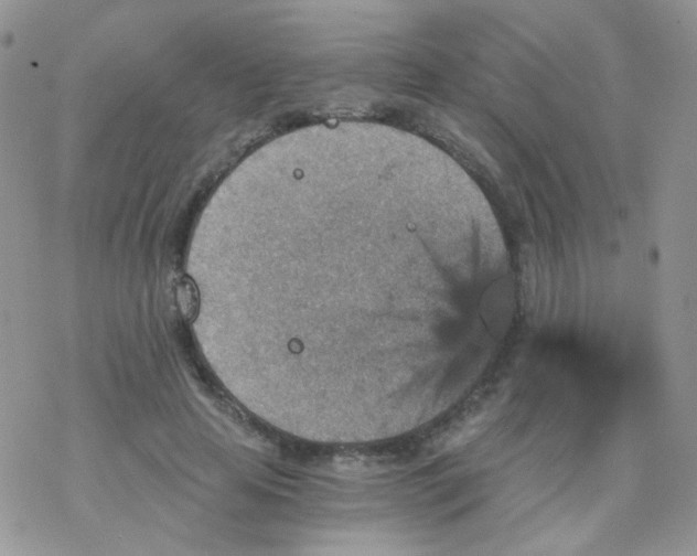 X0000078300641200611251509