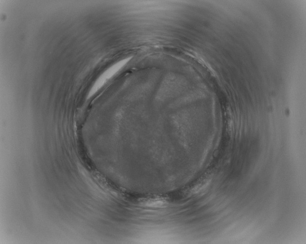 X0000078300643200611251509