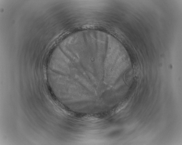 X0000078300648200611251509