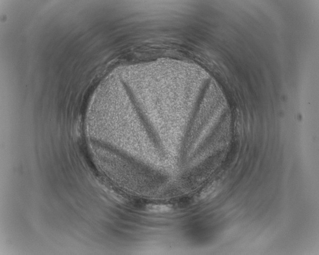 X0000078300649200611251509