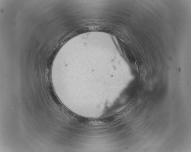 X0000078300650200611251509