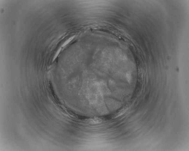 X0000078300652200611251510