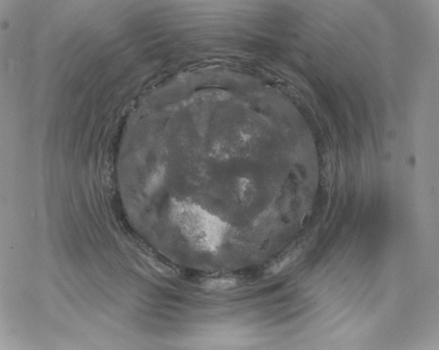 X0000078300653200611251510