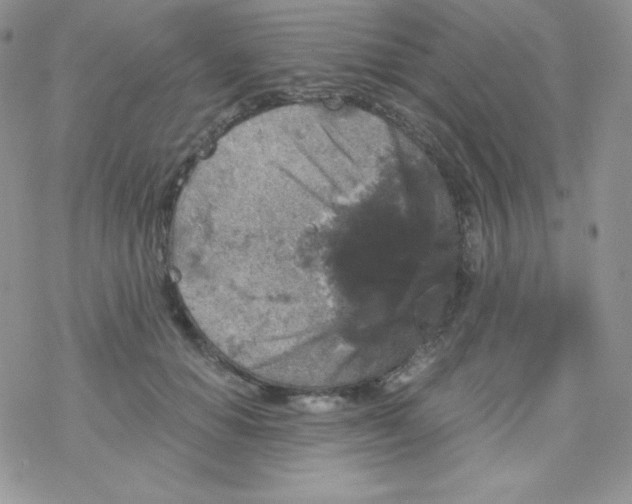 X0000078300654200611251510