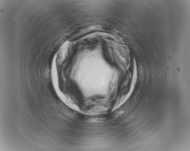 X0000078300657200611251510