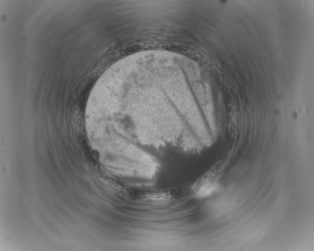 X0000078300659200611251510