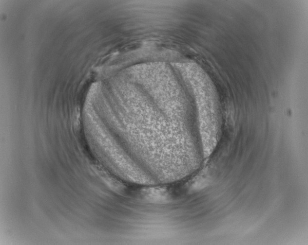 X0000078300660200611251510