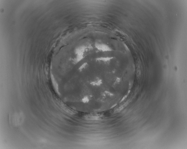 X0000078300661200611251510