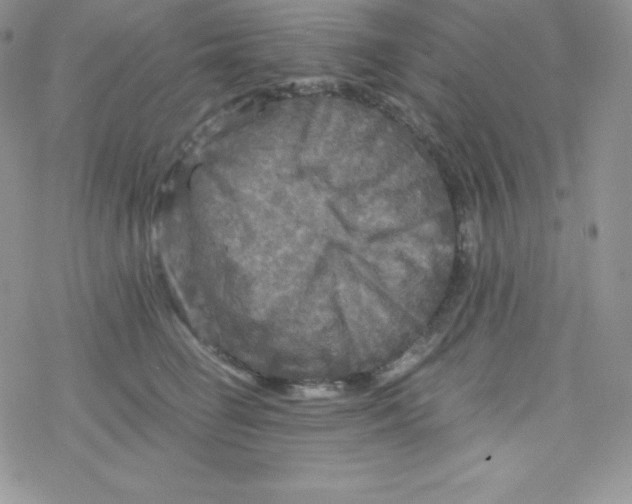 X0000078300662200611251510