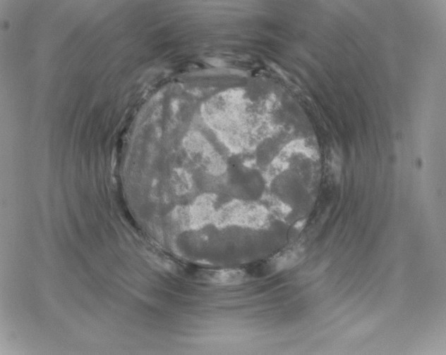 X0000078300663200611251510