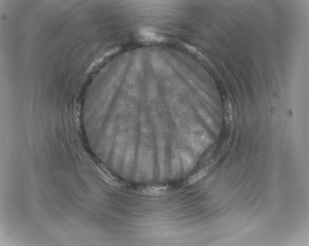 X0000078300664200611251510