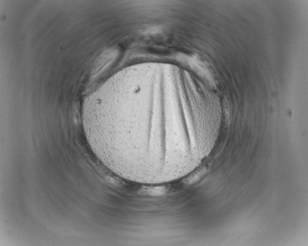 X0000078300665200611251510