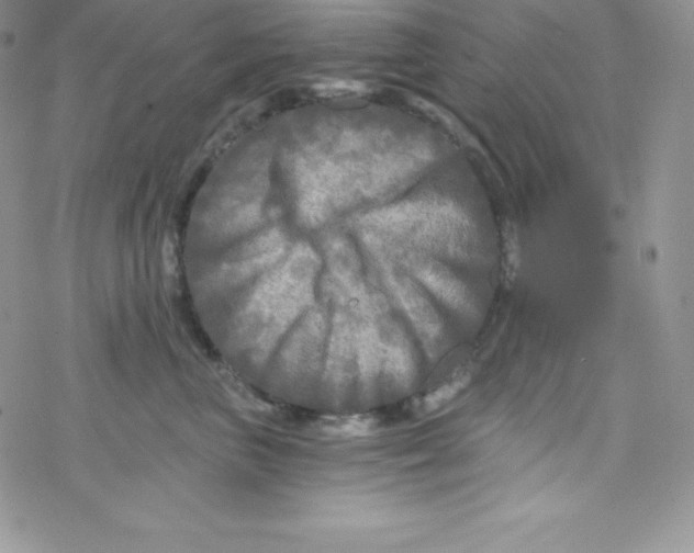 X0000078300667200611251510