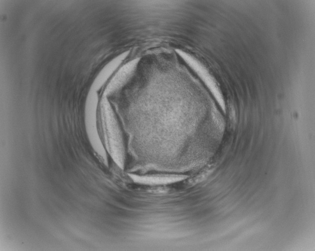 X0000078300668200611251510